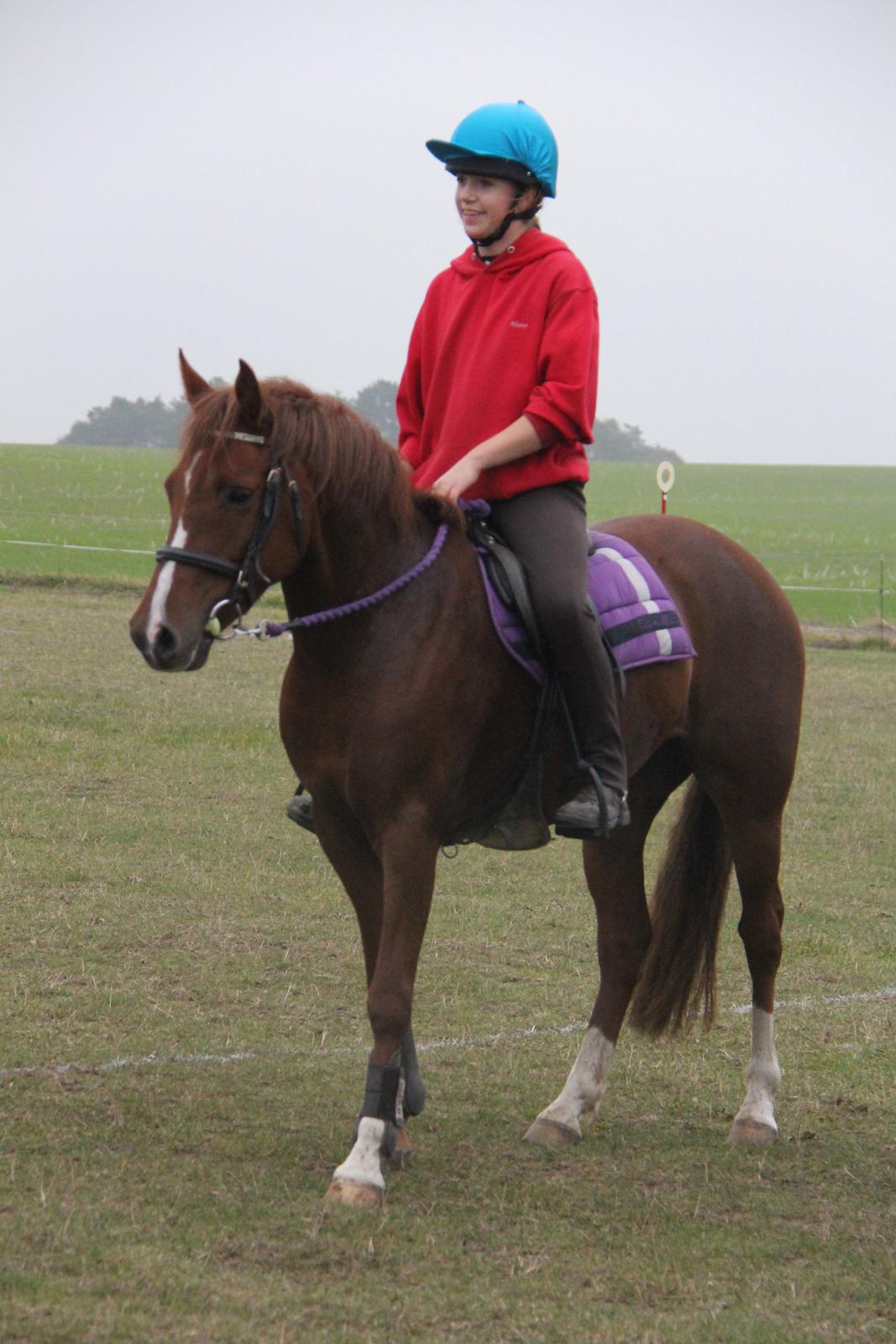 New Forest Tante Sofie billede 11