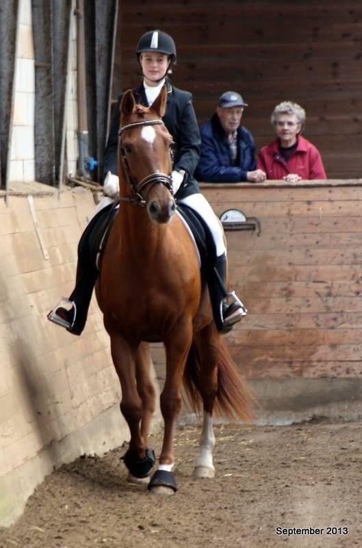 Anden særlig race Djibsi May - Første stævne<3 dygtig men nervøs lille hyp :-)  billede 9