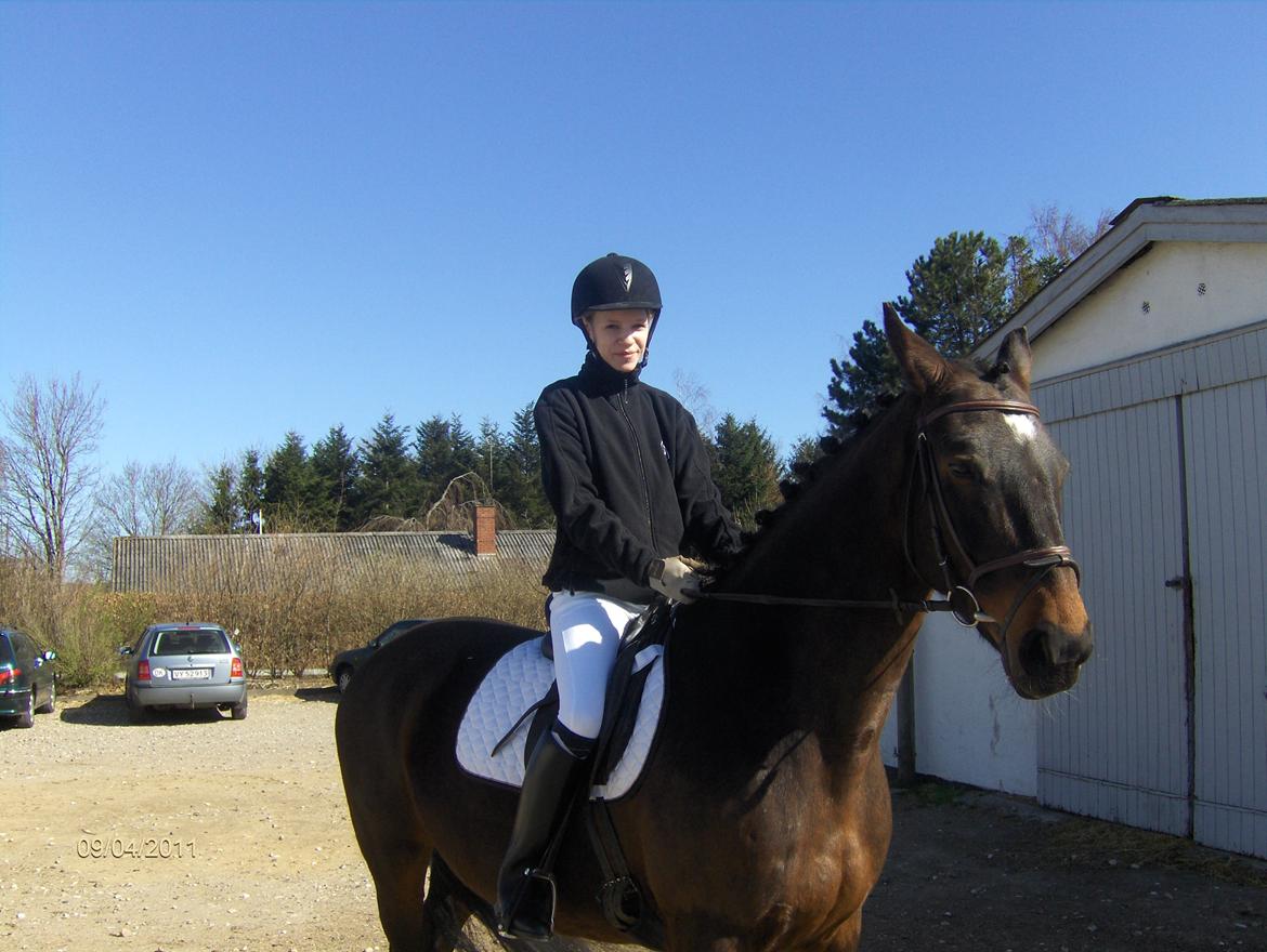 Anden særlig race Tamira [Rideskole hest] billede 10