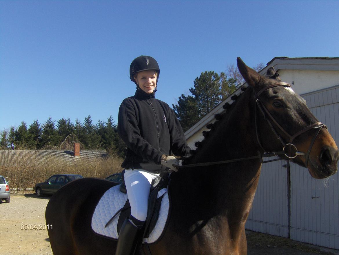 Anden særlig race Tamira [Rideskole hest] billede 11