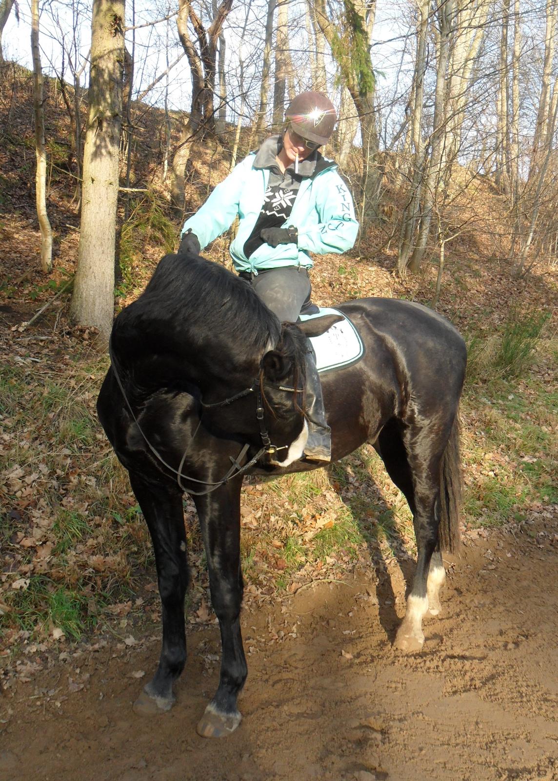 Anden særlig race Klitgaards Mr Big *R.I.P* billede 48