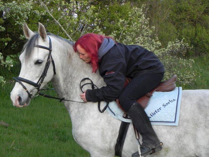 Arabisk fuldblod (OX) Picasso solgt <3 billede 4