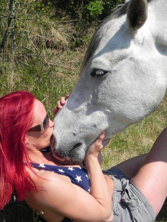 Arabisk fuldblod (OX) Picasso solgt <3 billede 11