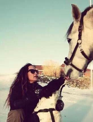 Arabisk fuldblod (OX) Picasso solgt <3 billede 13