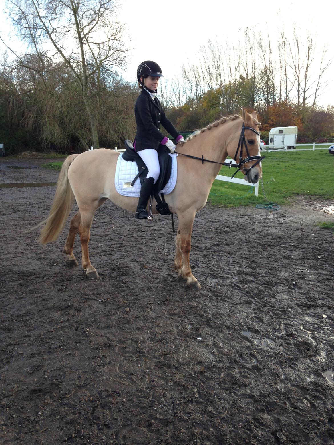 Anden særlig race Stald Poppels Snuggi billede 4