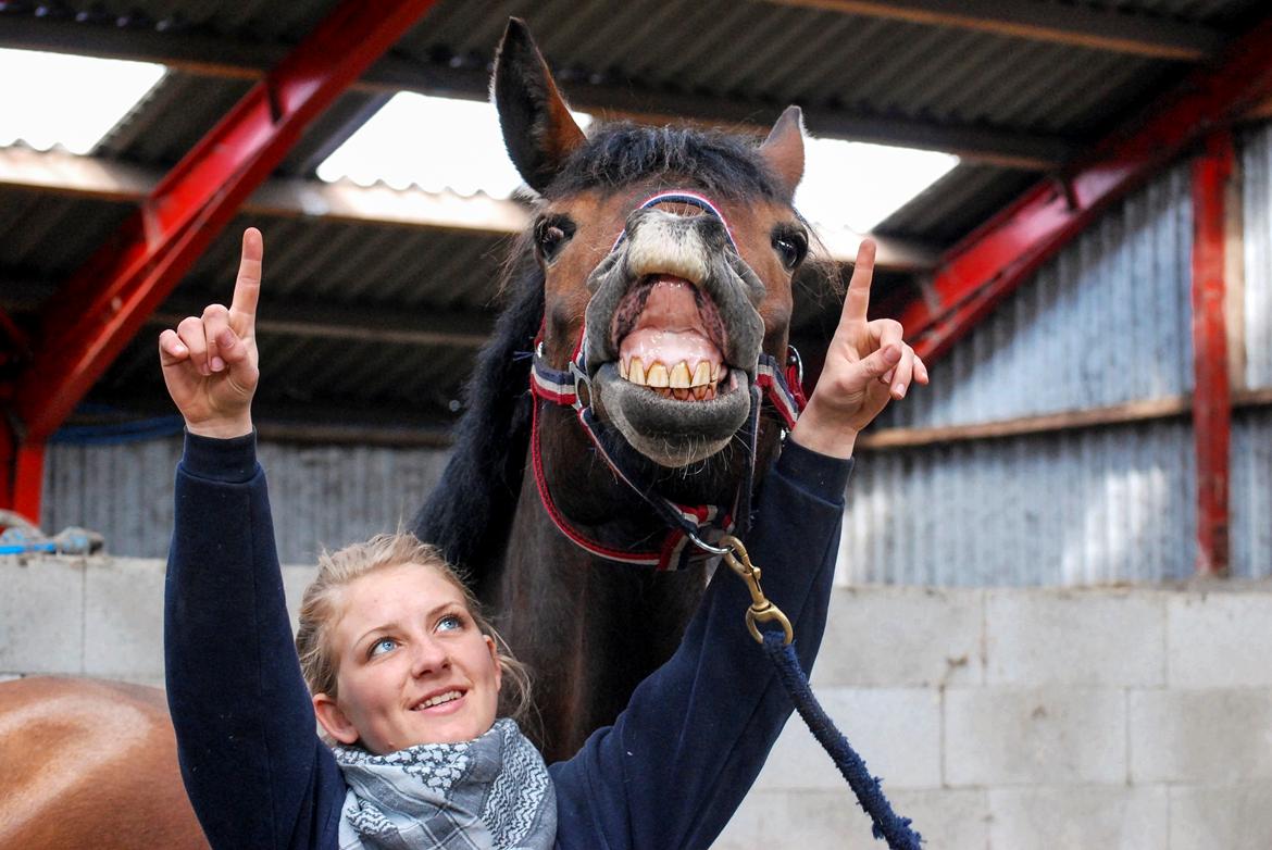 Anden særlig race Elmegaardens Mogcy billede 22