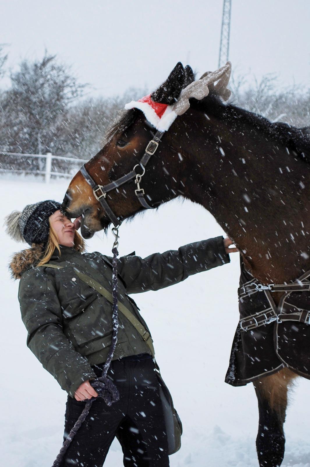 Anden særlig race Elmegaardens Mogcy - Haha, efter Mogge lærte at kysse på, begyndte han også at snige dem ind når man mindst ventede det .. :) billede 24