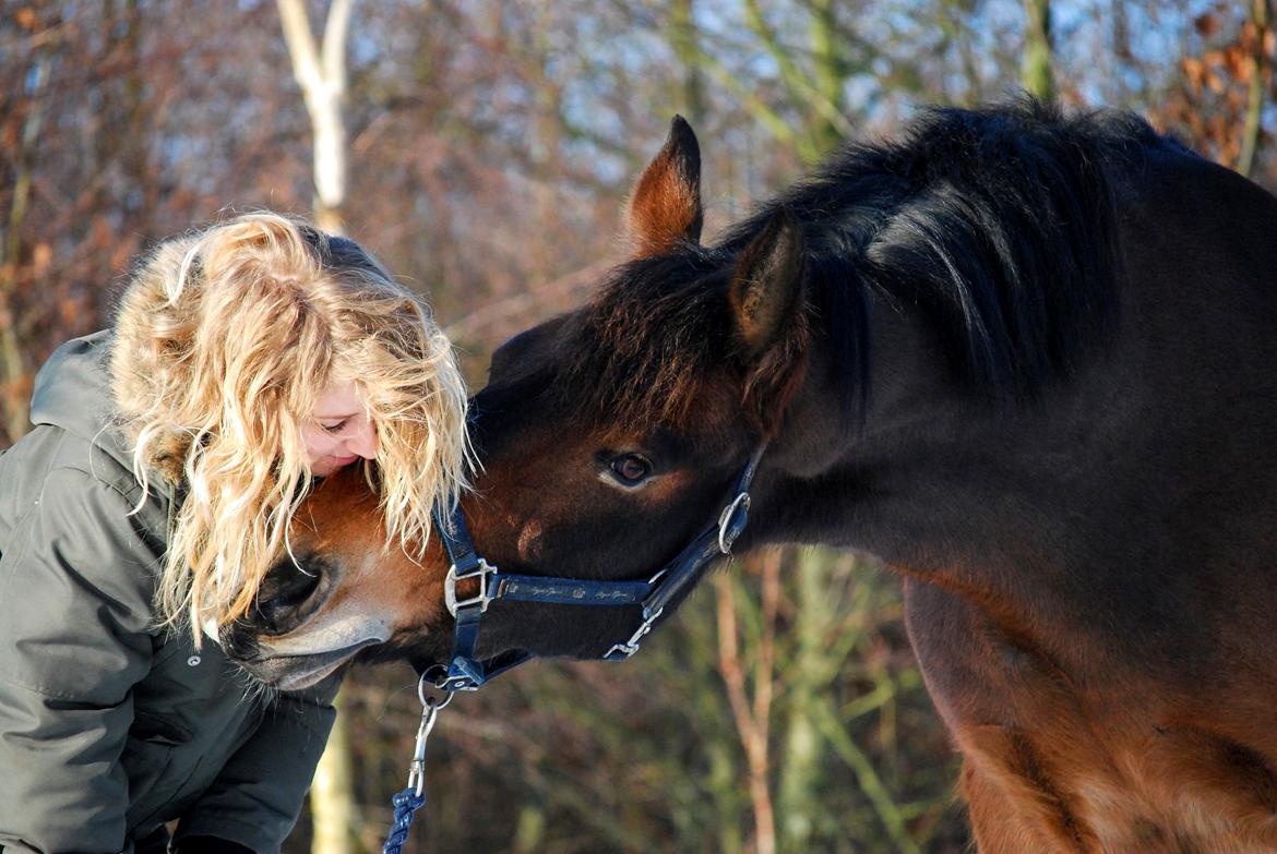 Anden særlig race Elmegaardens Mogcy - Det jeg savner aller mest, er din varme mule mod min kind <3 billede 46