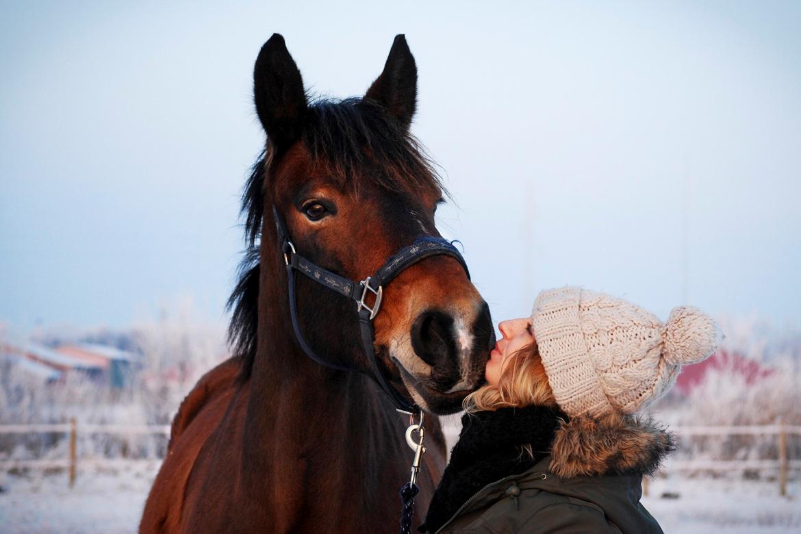 Anden særlig race Elmegaardens Mogcy billede 48