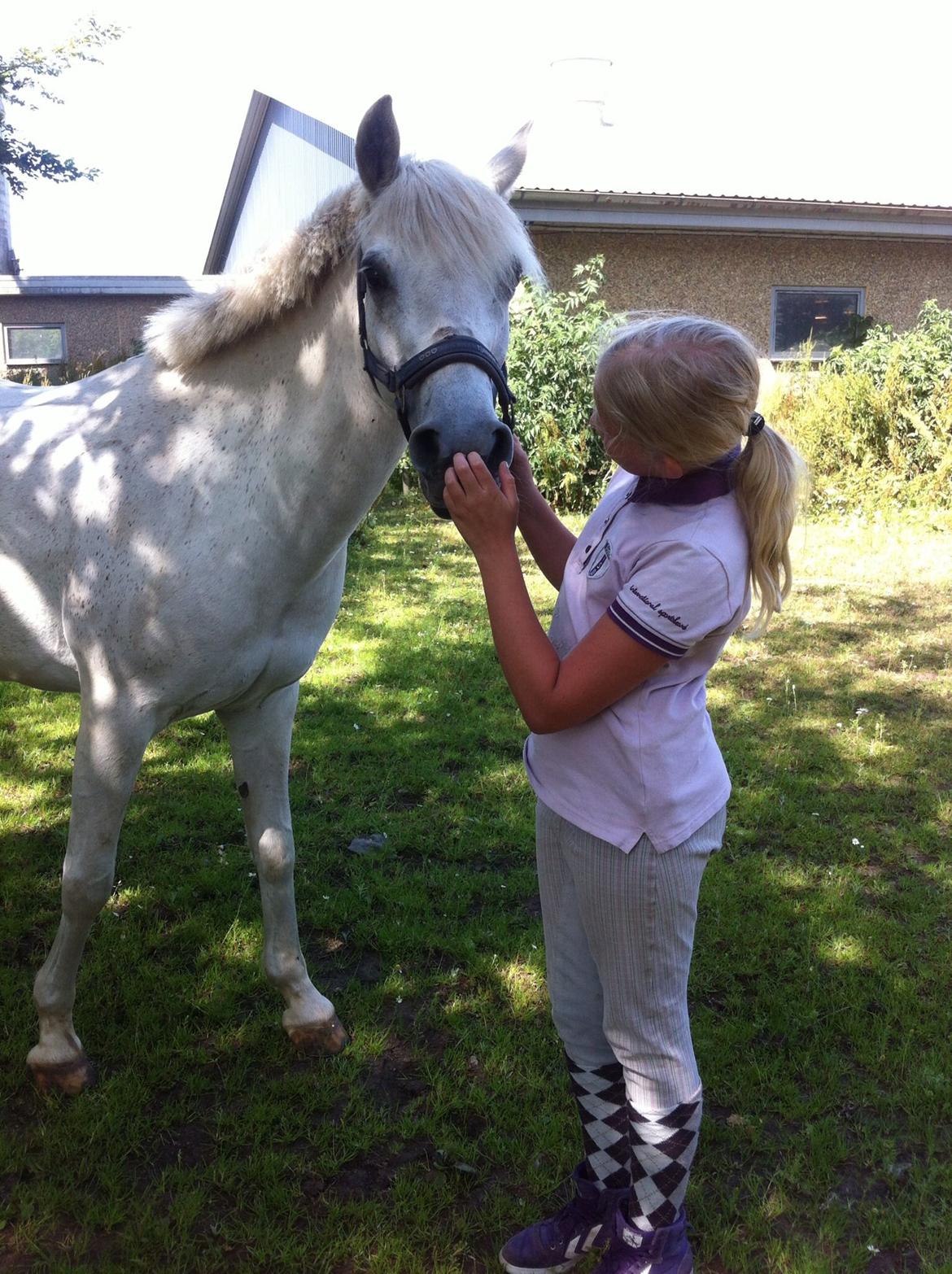 Anden særlig race Nikita billede 1