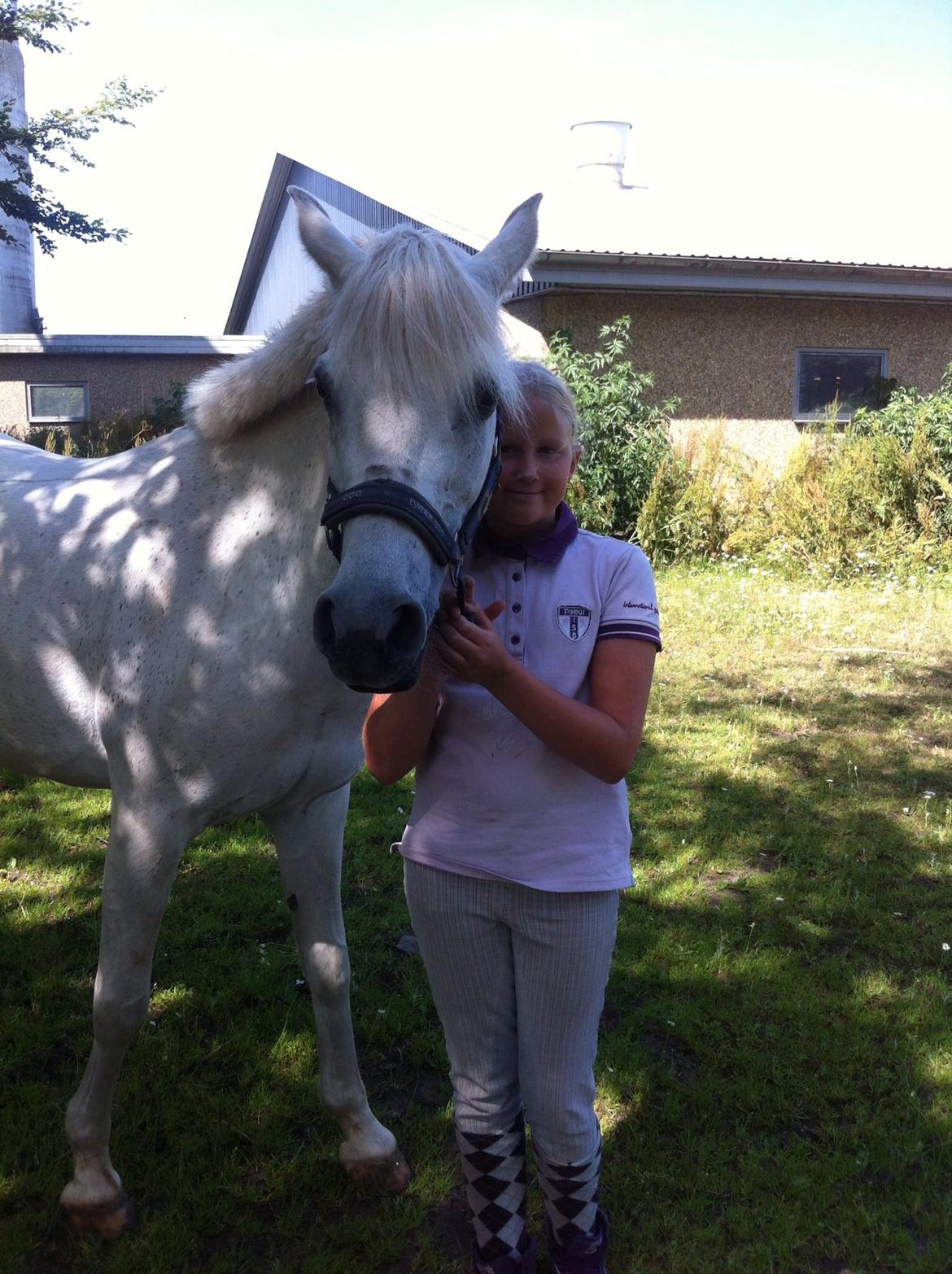 Anden særlig race Nikita billede 3