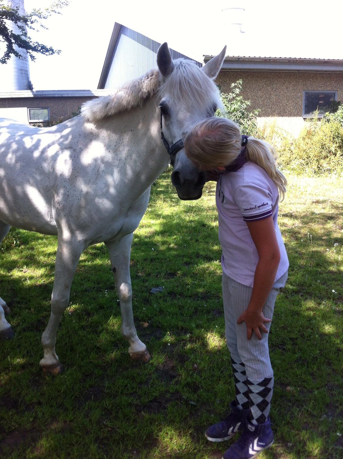 Anden særlig race Nikita billede 7