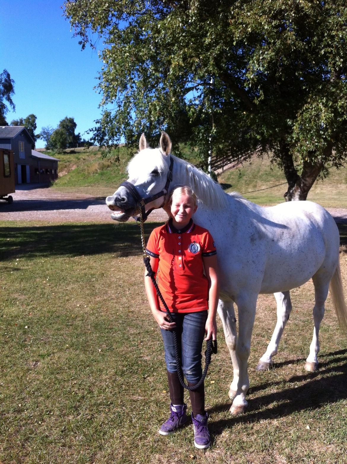 Anden særlig race Nikita billede 18
