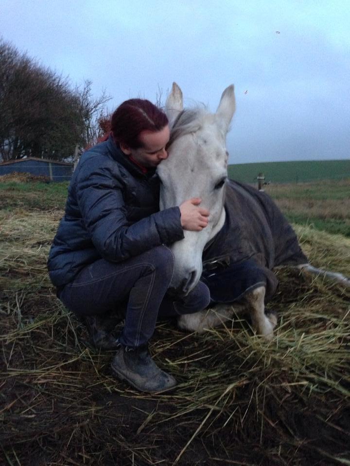 Arabisk fuldblod (OX) Wathana - ” Nogle væsner kommer ind i vores liv, efterlade spor i vores hjerter, og vi bliver aldrig den samme igen ” billede 6