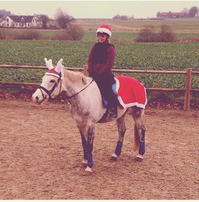 DSP Remember Me Af Sandager - Mit eget lille rensdyr <3 billede 27