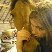 Anden særlig race tippi