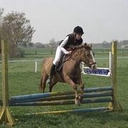 Tysk Sportspony Rødhætte <"3