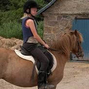 Tysk Sportspony Rødhætte <"3