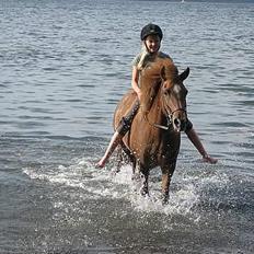 Islænder Friða fra Hellum 