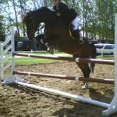 Holstener Carlos - Coriano