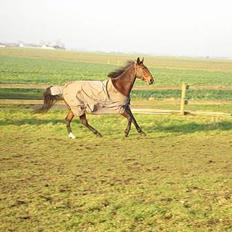 Oldenborg Smilla Stream Valley