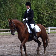 DSP Nørlunds Ascari 