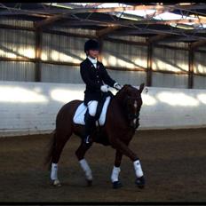 DSP Nørlunds Ascari 