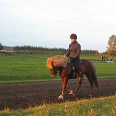 Islænder Atli Fra Kirstinelund