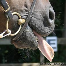 Traver Kubius - R.I.P