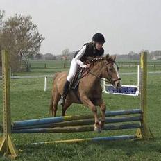 Tysk Sportspony Rødhætte <"3