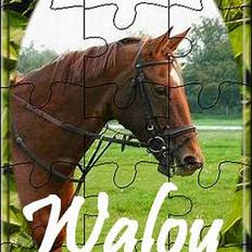 Dansk Varmblod Walou R.I.P.