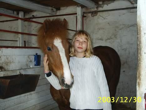 Anden særlig race Walker - VSR - Gammel billede - tage i år 2003 (tror jeg) billede 17