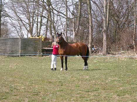 Anden særlig race Shannon (R.I.P) billede 17