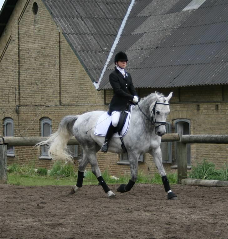 Anden særlig race Chanel <3 †Aflivet† - opvarmning billede 15