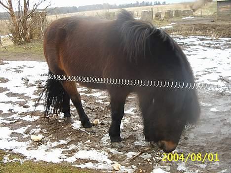 Dartmoor Sally <3 - der var hun så i fuld figur billede 3