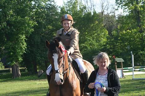 Hollandsk Varmblod Tornado SOLGT - Præmieoverrækkelse LD (BYBR) <3 billede 3