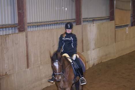 Anden særlig race Mirou *Solgt* - Det er bare sjovt, at ride.... billede 5