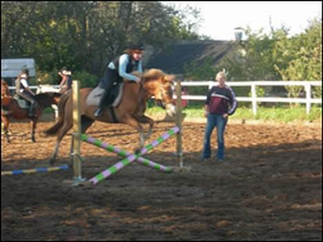 New Forest Olivia / Squash - Olivia og jeg spring i sommers billede 5