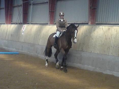 Hollandsk Varmblod Tornado SOLGT - Tornado og jeg på opvarmningsbane <3 billede 11