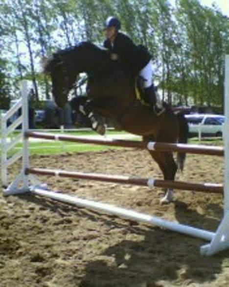 Holstener Carlos - Coriano billede 3