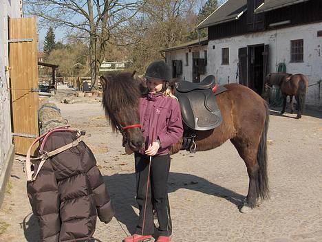 Islænder Sif fra Pilbrodalen Død - Lige inden mig og Sif skulle ud at ride billede 2