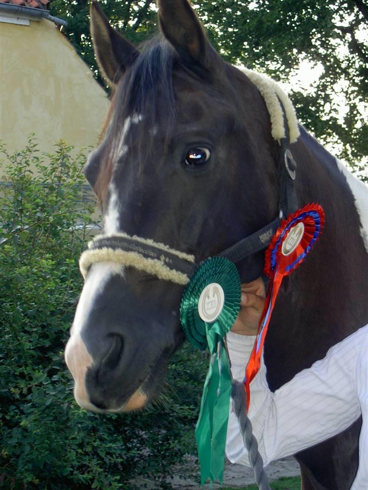 Anden særlig race sissi.dk Tento(solgt) - 1) Tento med vores "fangst" fra Kellrup´s stævne d. 11-12/8-07 billede 1