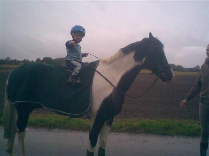 Anden særlig race sissi.dk Tento(solgt) - 5) Tento og Kenni er ude og ride. Billedet er taget med mobil. billede 5