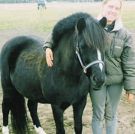 Welsh Mountain (sec A) † Miss Daylight † :'( - lille kram er altid dejligt :) billede 4