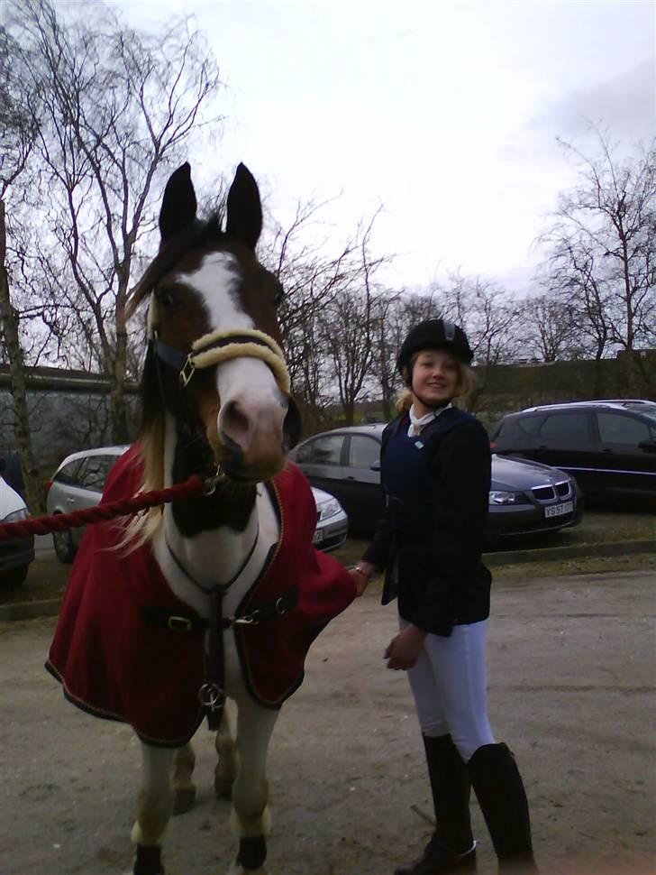Pinto Ronjas galant - Mig og Galant til vores første stævne (Faxe) vi startede 80cm :-D billede 1