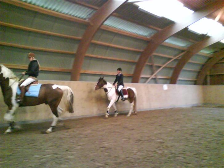 Pinto Ronjas galant - Varmer op til stævne :-D billede 8