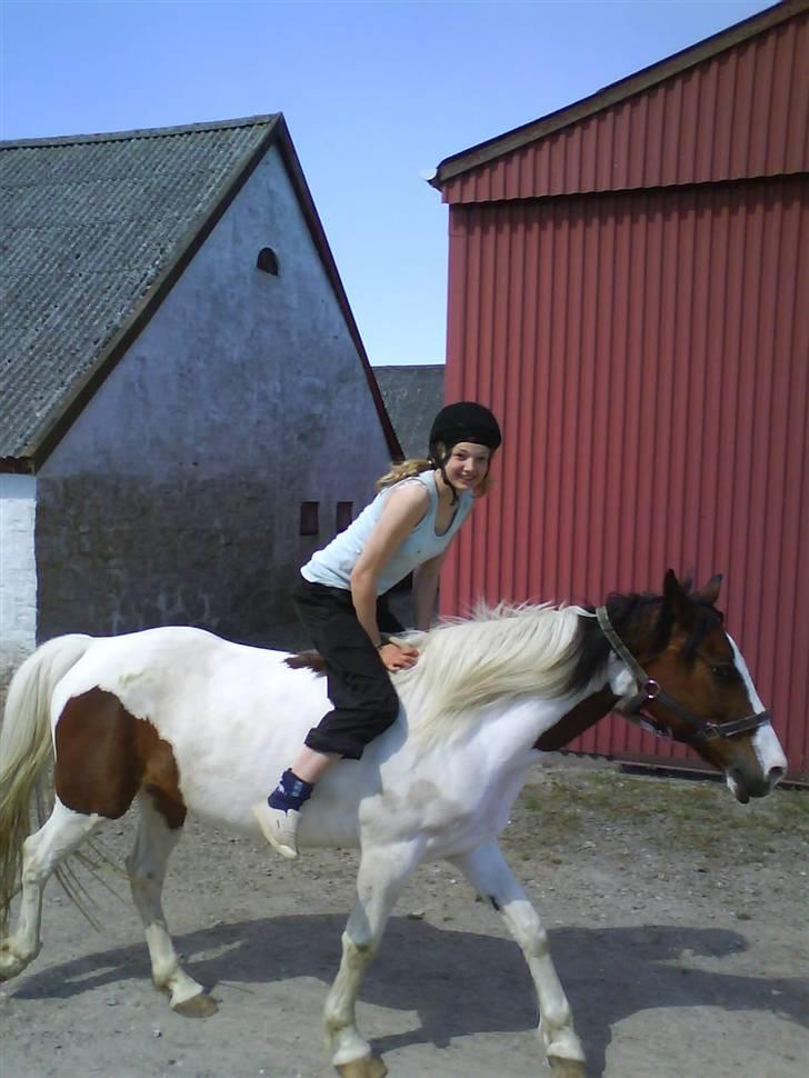 Pinto Ronjas galant - Fjolle 1 og fjolle 2.. Det li os :-D billede 9