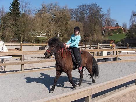 Islænder Sif fra Pilbrodalen Død - Mig og Sif i Pas. Læner mig ALT for meget tilbage. billede 9