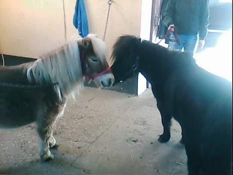 Miniature Forver Uno <'33 billede 14