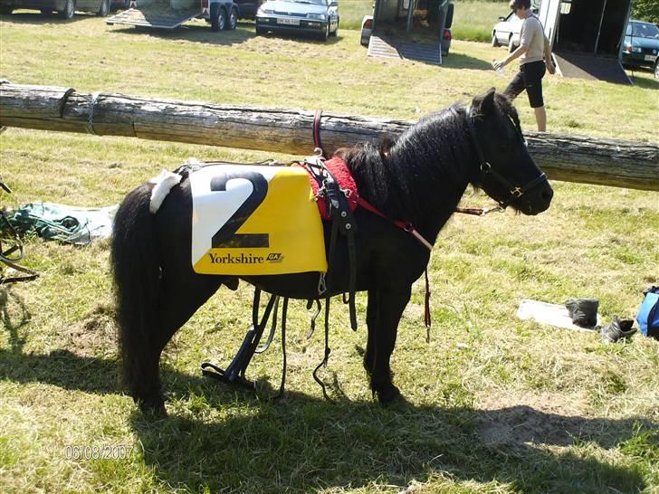 Miniature Forver Uno <'33 billede 18